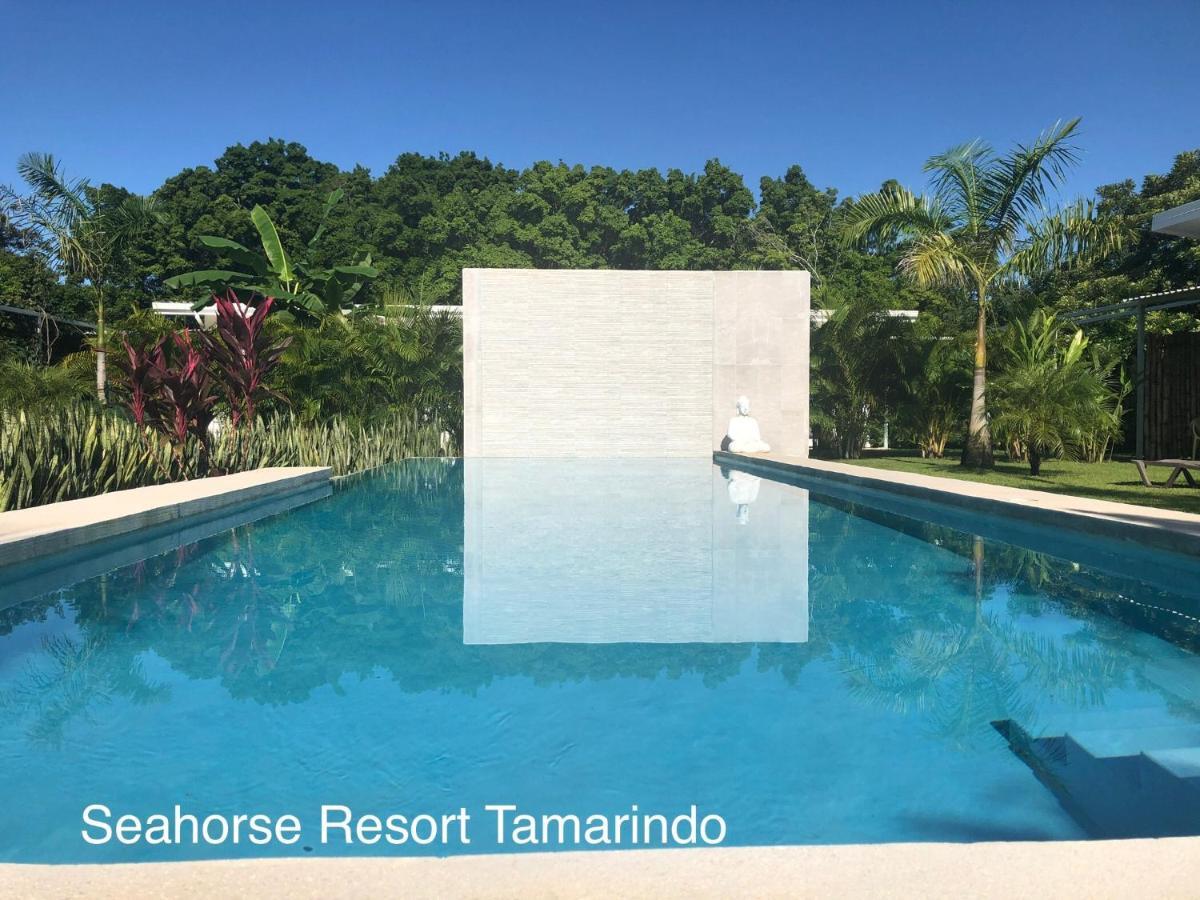 Seahorse 3*