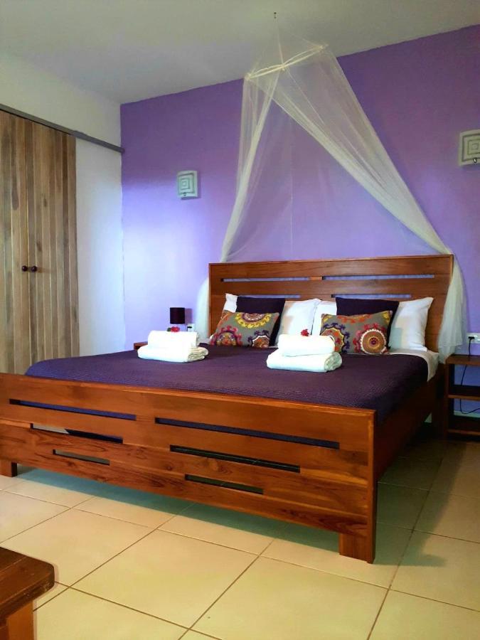 Casa Mapache Guest house 3*