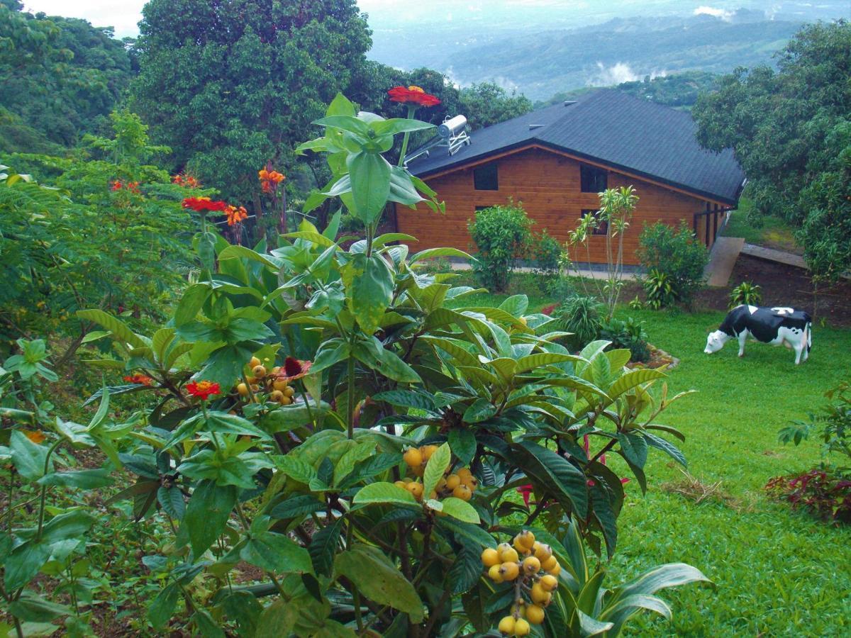Helvetico Chalets & Reserve Hotel