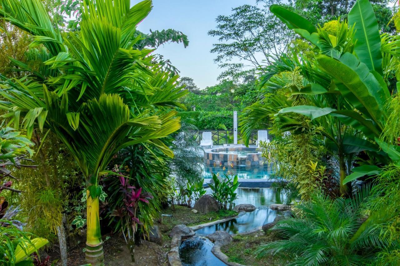 Arenal