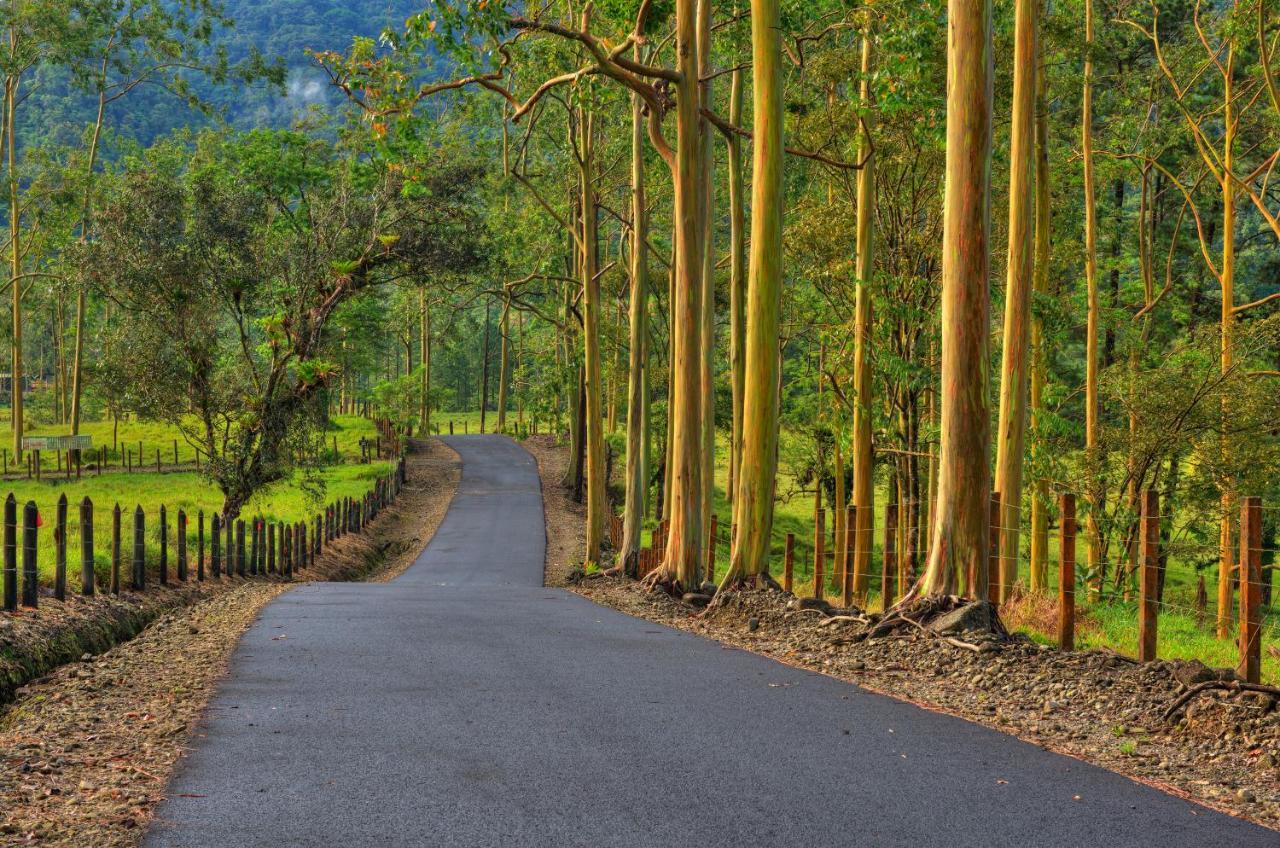 Arenal Observatory & Trails La Fortuna